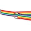 Braided Rainbow Waist Chain Belt for Women Prom Banquet Club Party Hot Girl Rainbow Elegant Woven Belt
