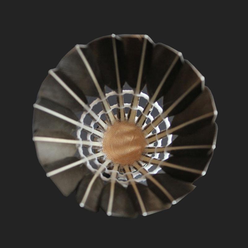 3/6/12 buc. Volan profesionist de badminton, pene de gâscă neagră, volan de badminton, antrenament sportiv, minge de badminton