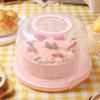 Round Plastic Cake Box 8/10 Inch Cake Case Cake Carrier Cake Container  Picnic