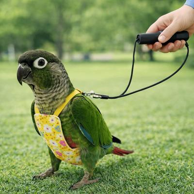 Adjustable Bird Flight Suits Breathable Escape Proof Parrot Outdoor Leashes Feces Pocket Bird Traction Rope Birds Supplies