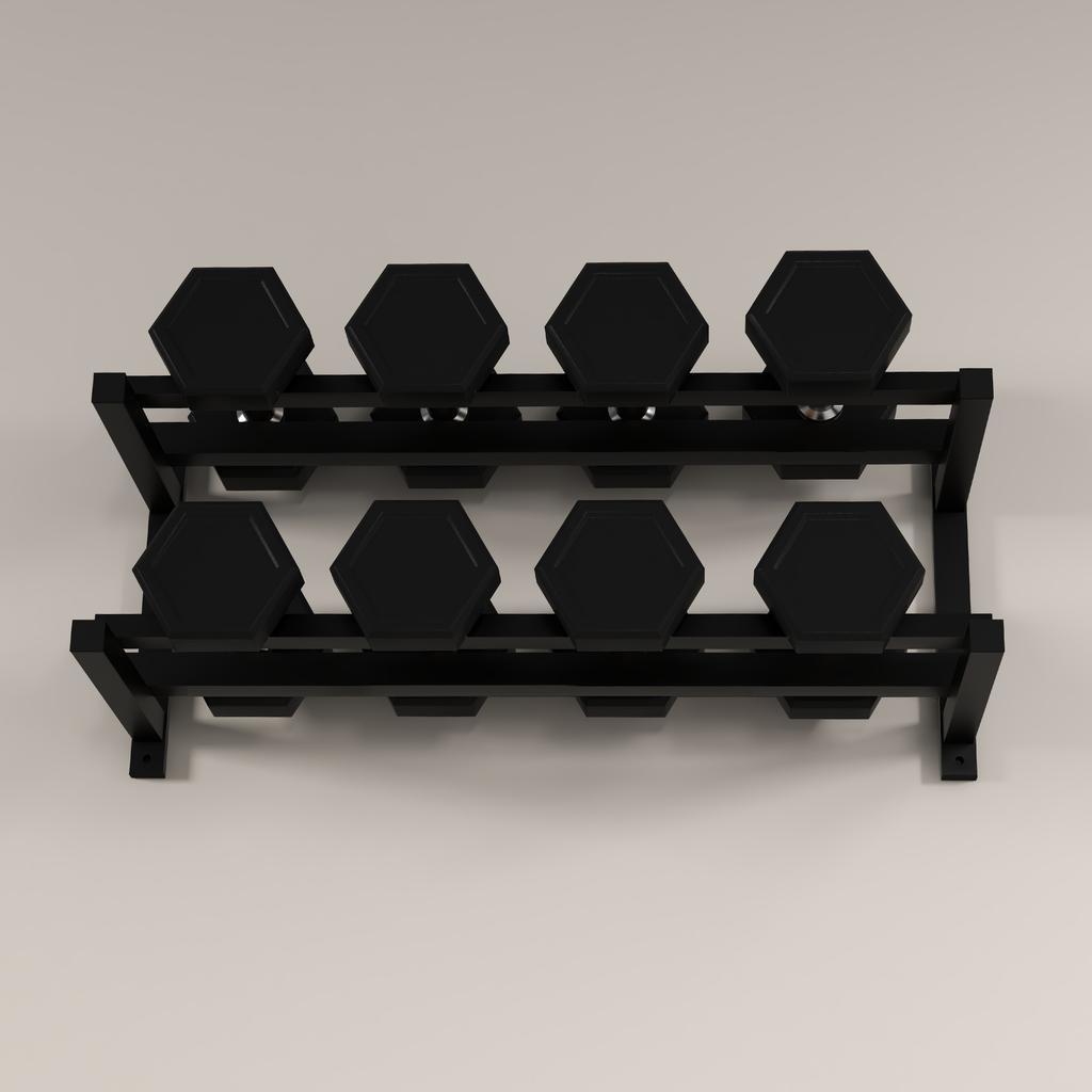 Wall-Mounted Dumbbell Rack, 2-Tier Weight Stand, Space-Saving and Multi-Functional Steel Organiser for Home Gym, Black
