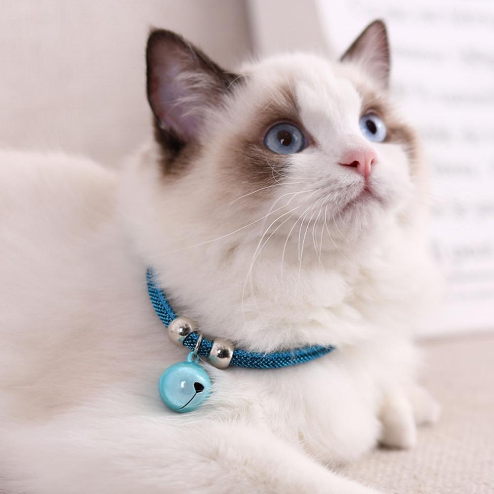 Adjustable 20-38cm Length Pet Necklace W/ Extension Chain Nylon Pets Collar for Pets