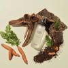 Carrot Carotene Soothing Toner SET (Toner + Mist)