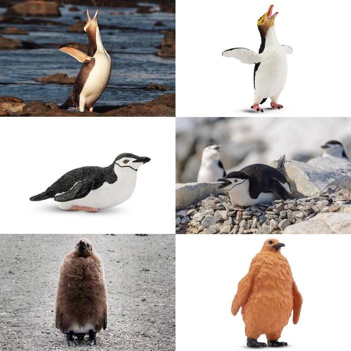 TOYMANY Penguin Figures 12PCS Antarctic Animal Set Realistic Animal Models Toys Collection 6+