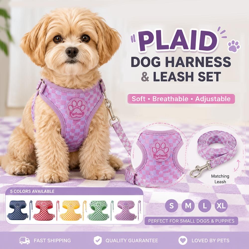 Plaid Dog Harness and Leash Set, Fashion Vest Harness for Small Dogs , Adjustable Puppy Walking Chest Strap with Lead