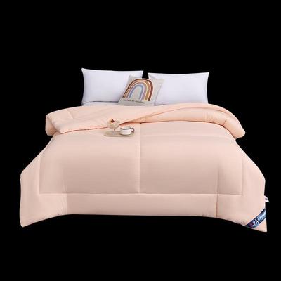 Cloud-Feel Antibacterial Warm Core Quilt