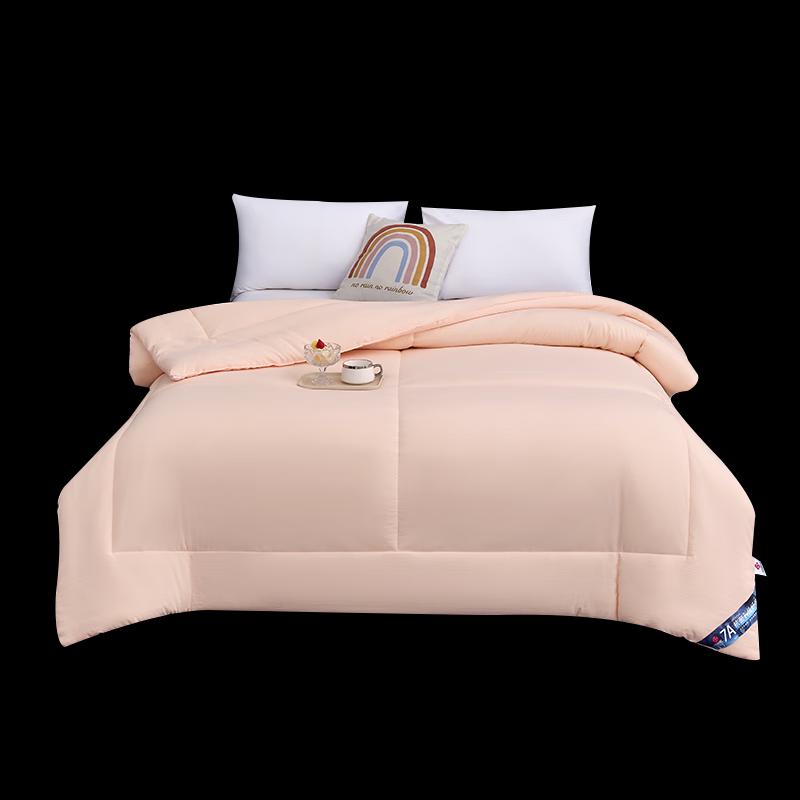 

Grace Cloud-Feel Antibacterial Warm Core Quilt