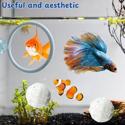 דגים ובעלי חיים ימיים – קישוטים לאקווריום