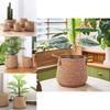 Woven Grass Planter Pot With Breathable Design For Living Room Decor Large Size
