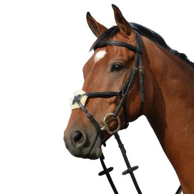 Collegiate Syntovia+ Padded Raised Figure 8 Bridle