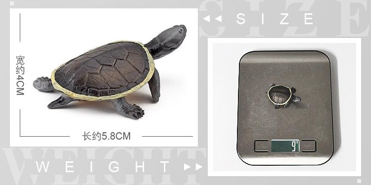 Compact Size Turtle Figure Frog (Hillary Turtle)