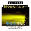 HID Shop HB4 Fog Lamp LED Yellow Explosive Light 13100lm