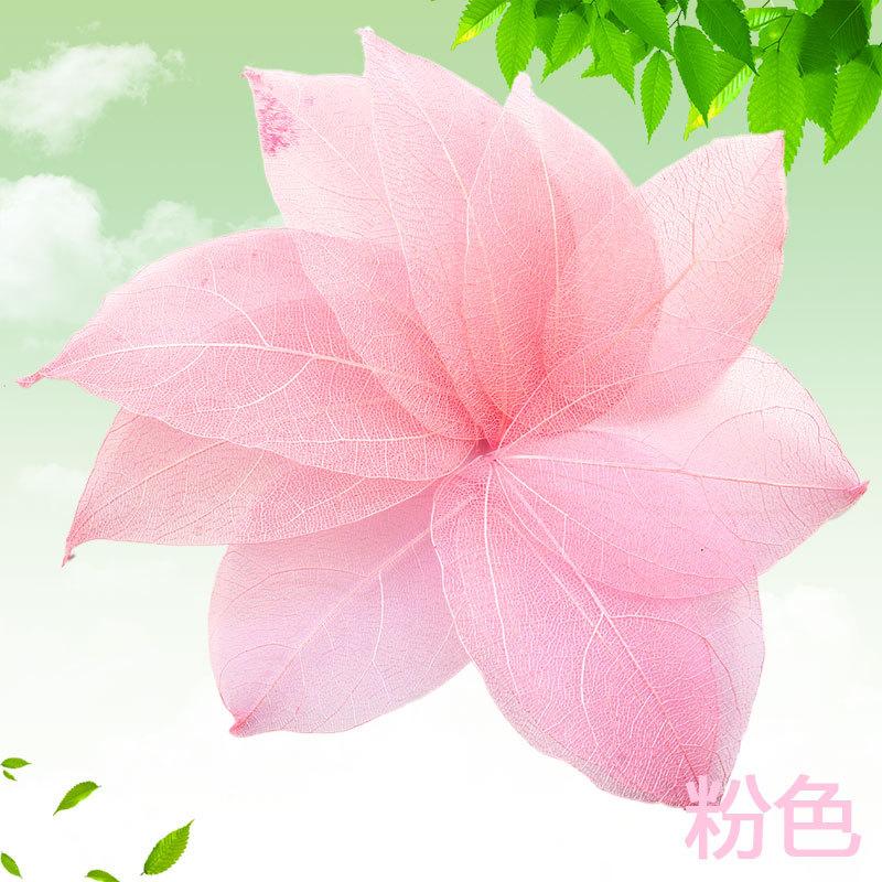 Dried Flowers Natural Skeleton Leaf Vein DIY Handmade Materials Nail Art Flowers Material for Wedding Party Home Decor-20/24pcs