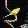 Parrot Climbing Rope Perch and Nail Grinding Stick for Cockatiels and Budgies - Bird Cage Toy Accessory