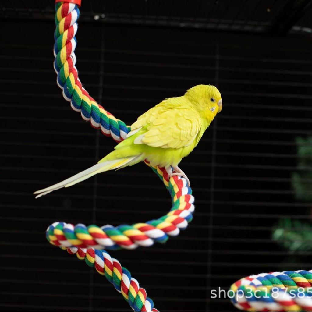Parrot Climbing Rope Perch and Nail Grinding Stick for Cockatiels and Budgies - Bird Cage Toy Accessory