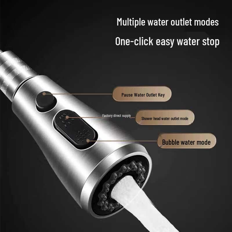 Stainless Steel Pull-Out Kitchen Faucet