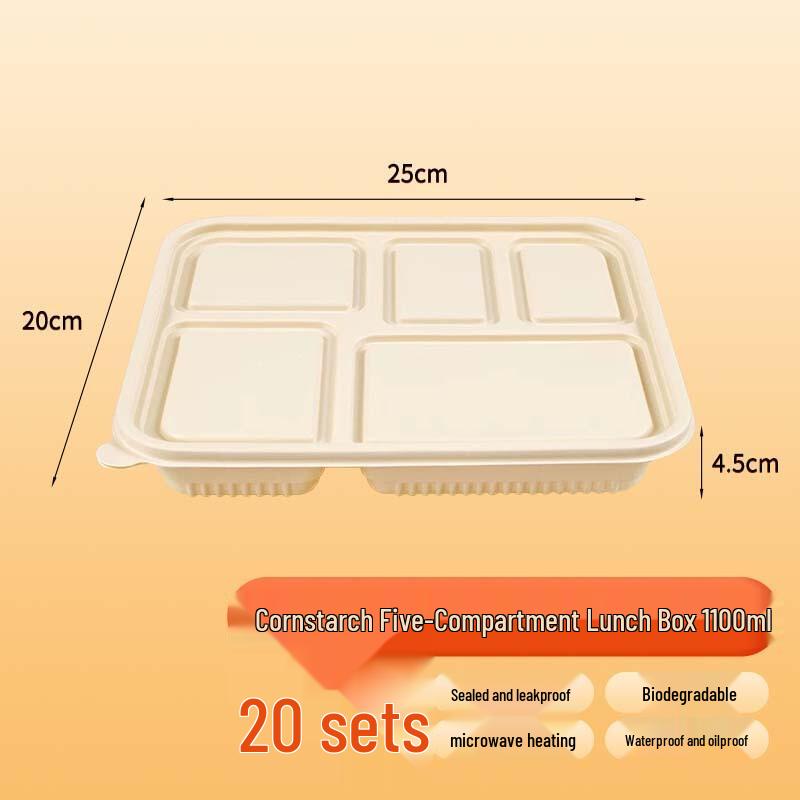 TingHao Rectangular Eco-Friendly Lunch Boxes with Lids