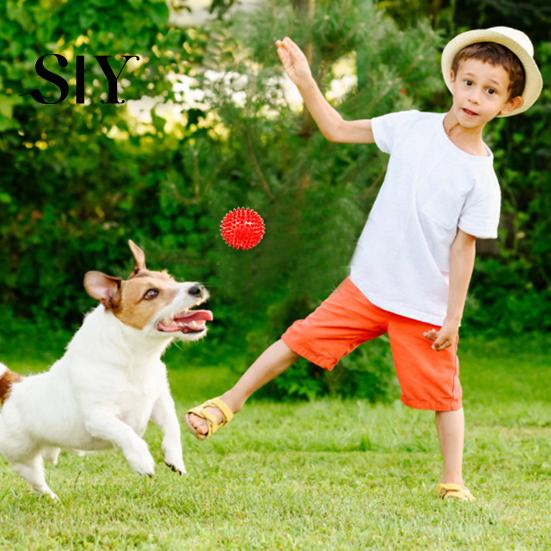 Interactive Pet Toy Squeaky Dog Chewing Sound Ball Safe Teeth Cleaning Puppy Chew Self-pleasure Balls Training Toys Supplies for Boredom Relief Dental