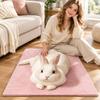 Pet Themed Animal Shaped Carpet 3D Printed Diatom Mud Mat Cat-Shaped Area Rug  Home Floor Decor