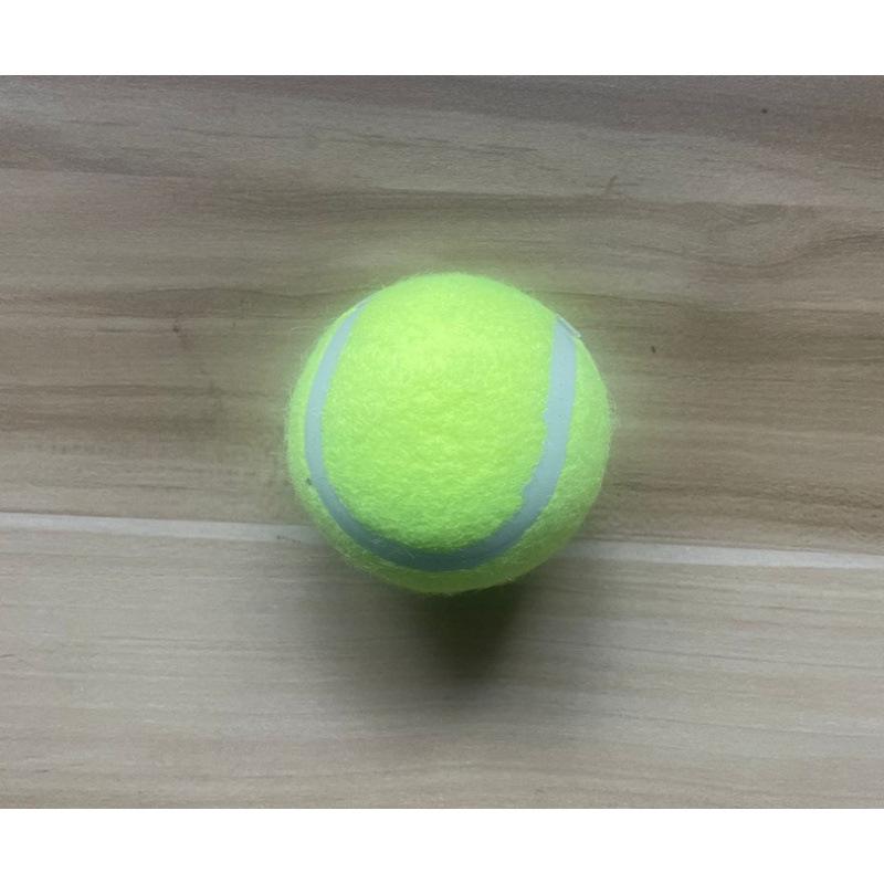 Hundeerziehung Tennisstock Spielzeug für draußen