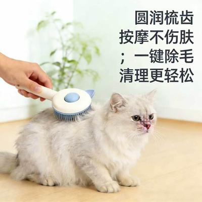 Katzen – Fellpflegeartikel für Katzen