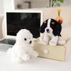 Small Plush Dolls: Spotted Pomeranian, Pug, Yorkshire Terrier, Prince Poodle, Lion, Panda, Brown Bear