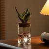 Glass Hydroponic Flower Holder Thickened Mountain Viewing Bottle Flower Pot  Fish Tank