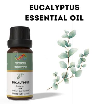 Ananta Eucalyptus Essential Oil 10 Ml – Herbal Camphor Aroma Oil for Diffusers, Candles and Home Fragrance