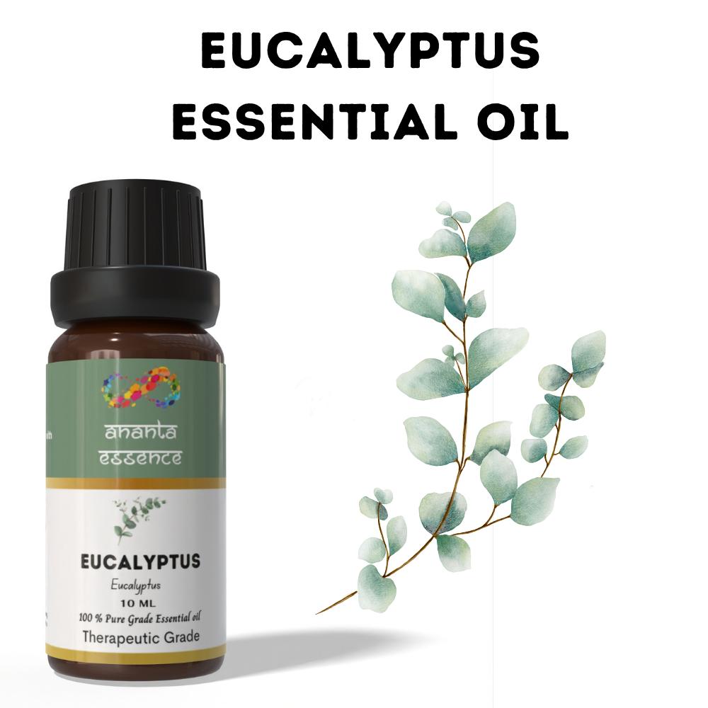 

Эфирное масло эвкалипта Ananta 10 мл – Масло со свежим травяным ароматом для диффузора и ароматизации дома volume - 10ml