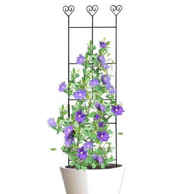 Tuteur pour Plantes en Pot Support pour Plantes Grimpantes Treillis de Jardin Extérieur Piquets en Métal Support Décor de Cour pour Intérieur Extérieur