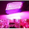 LED COB Lodine Tungsten Spectrum LED Grow Pink 380-840nm 100W 50W AC 220V  Led IC Plant Lights Fllood Light Vegetable Plan