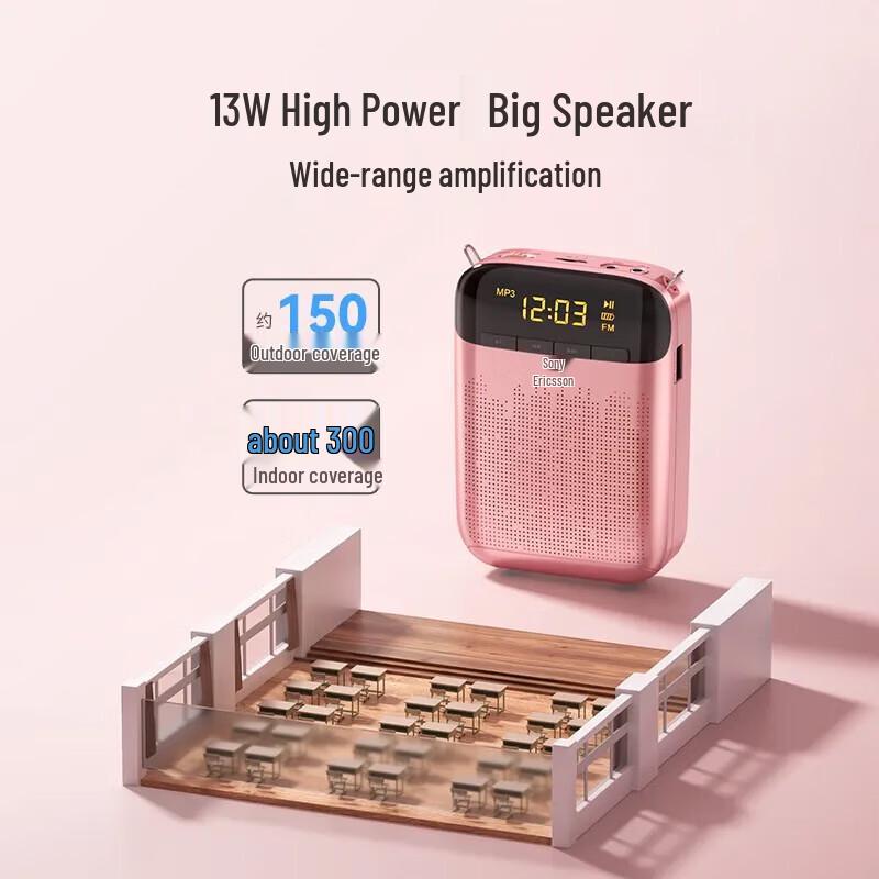 Suoai 13W Smart Anti-Howling Portable Voice Amplifier