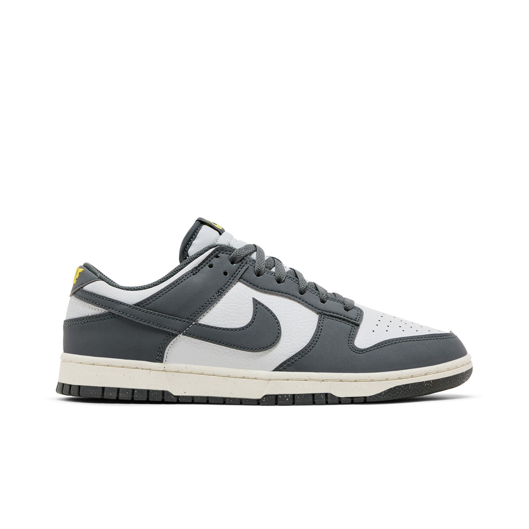 Nike Dunk Low Next Nature `Iron