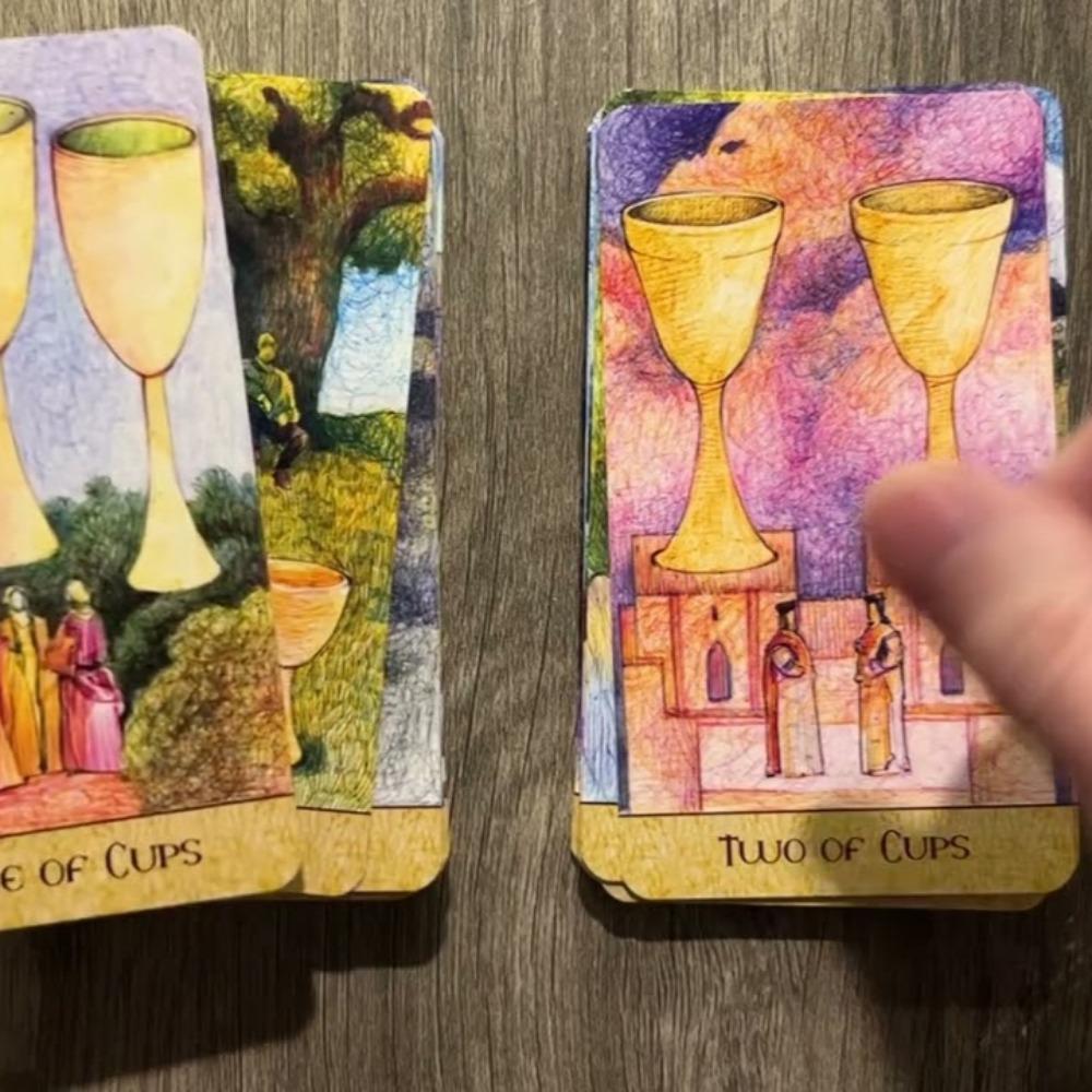 Fantasy Garden Tarot 78 Pcs Cards In Rider-waite System Made with Ballpoint Pens In Eight Colors 10.3*6cm