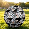 Sabrina Carpenter Size 5 Soccer Ball, Durable Standard Football For Training Match Outdoor Sports