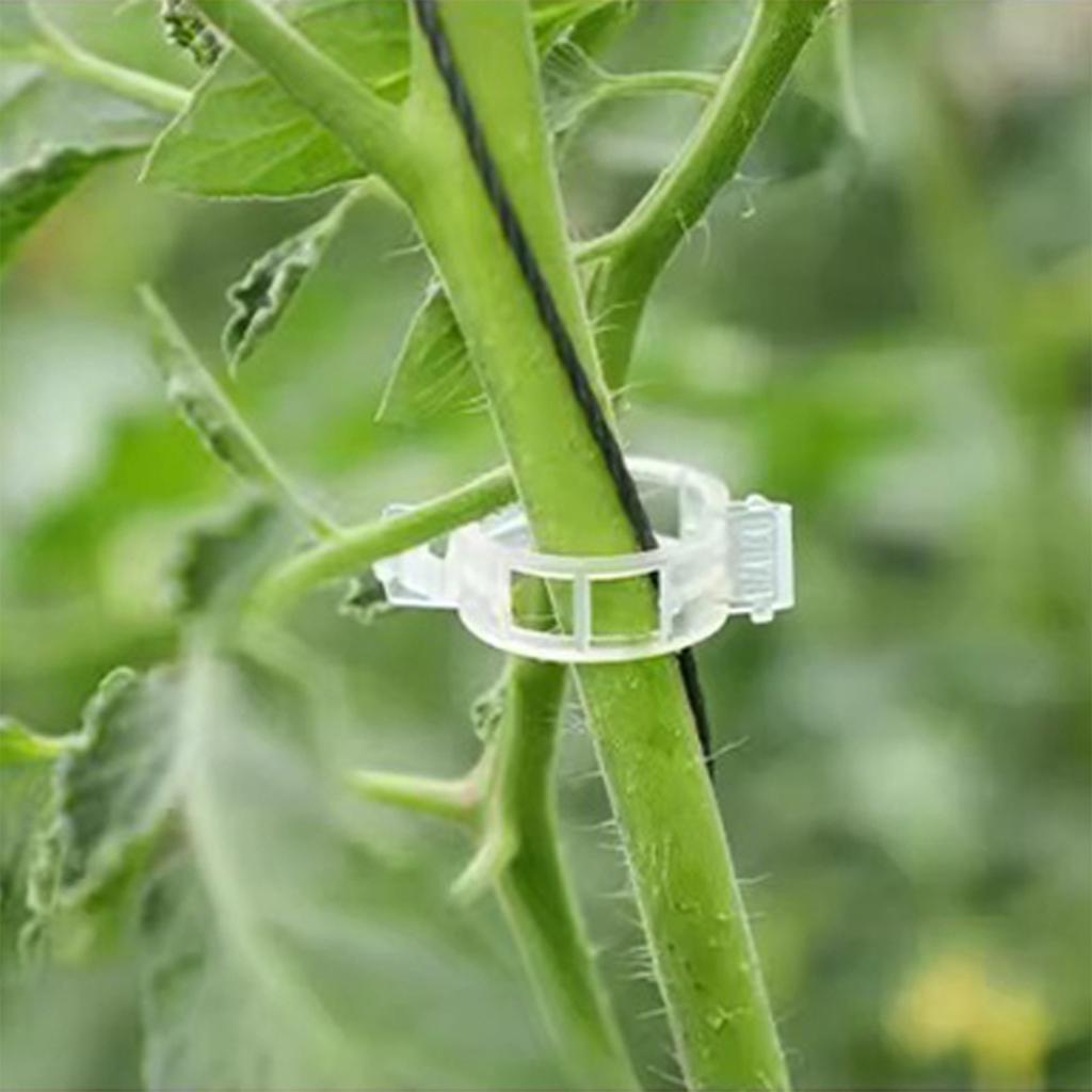 100pcs Plastic Clips Garden Climbing Vine Hanging Clips Vine Clips Tomato Large Plant Fixing Clips Gardening Supplies