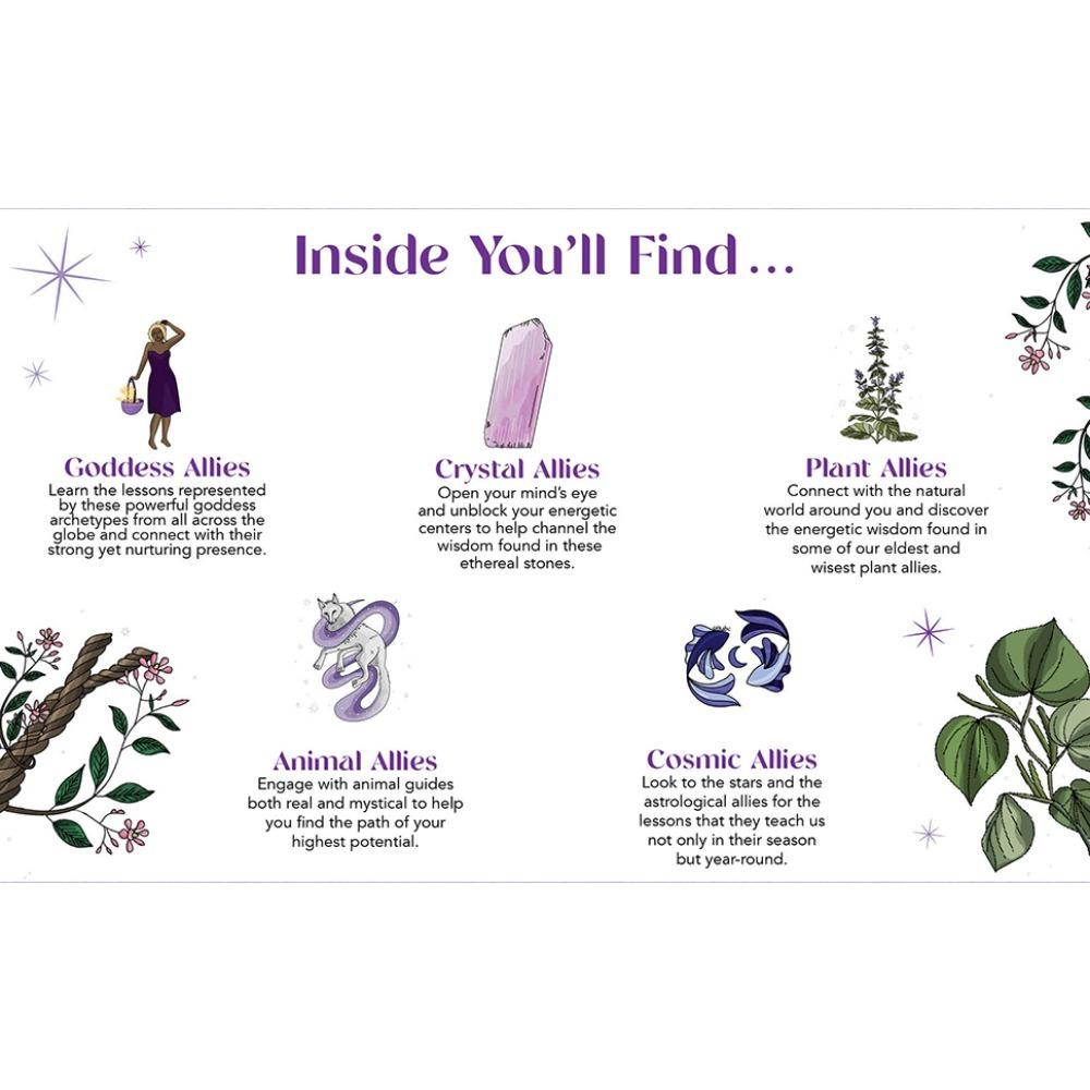 Spirit Allies A-60 Card Deck Oracle Card Games 10.3*6cm