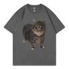 Oiia Oia Cat Funny Meme T Shirt Unisex Unisex Clothing High Street Fashion Trend Tshirt Summer Casual Loose Short Sleeve Tshirts