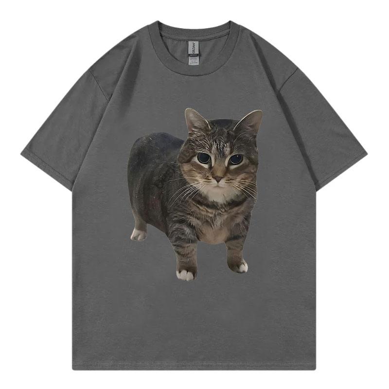 Oiia Oia Cat Funny Meme T Shirt Unisex Unisex Clothing High Street Fashion Trend Tshirt Summer Casual Loose Short Sleeve Tshirts