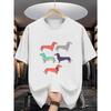 Dachshund Men's Cotton TShirt Colorful Sausage Dog Illustration Print Pattern Pure Cotton Premium Print Durable Casual Fashion