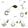 Flower Garden Supplies Creative Hydroponics Terrarium Container Hanging Glass Plant Pot Glass Vase