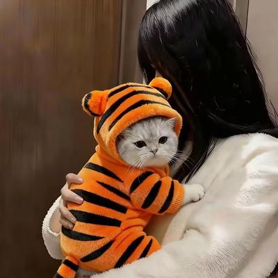 Herbst Winter Haustier Kostüm Sets Katze & Hund Tiger Verwandlung Für Wärme Vierbeinige Kleidung Teddy, Chihuahua, Bulldog Outfits.