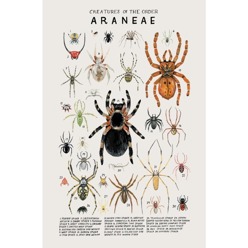 Woodland Animals Genus Generic evolution Nursery Posters Child Educate Prints Canvas Painting Wall Art Pictures Room Home Decor