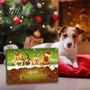 Interactive Pet Toys Toy Advent Calendar 24-Day Christmas Countdown Cat or Dog Set for Pets Safe