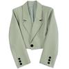 Short Blazer Women's Spring and Autumn New Small High-end Design Versatile Suit Jacket