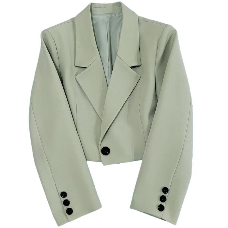 Short Blazer Women's Spring and Autumn New Small High-end Design Versatile Suit Jacket
