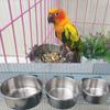 Stainless Steel Bird Feed Box Parrot Cups Bowls Container for Food Water Feeding Supplies