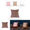 Cover Only Luxurious Plush Faux Rabbit Fur Pillow Cover Soft Cushion Cover For Sofa In Modern Style