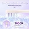 Philips HX2411 Sonic Electric Toothbrush CN plug (adapter included)