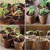 50Pcs 6/8cm Paper Pulp CultIvation Cup Biodegradable Seedling Nursery Pot Seedling Starter Garden Germinative Planting Container